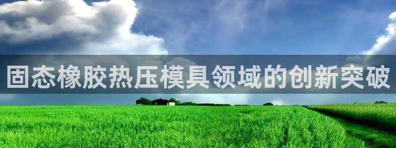 emc易倍官网：固态橡胶热压模具领域的创新突破