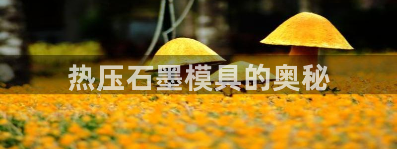易倍达科技有限公司代运营：热压石墨模具的奥秘