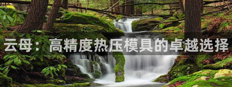 EMC易倍：云母：高精度热压模具的卓越选择