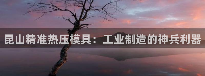 易倍申怎么样：昆山精准热压模具：工业制造的神兵利器