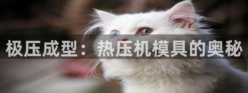 易倍单词登录平台：极压成型：热压机模具的奥秘