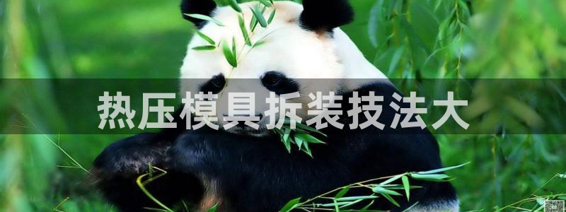 易倍电竞安装教程：热压模具拆装技法大