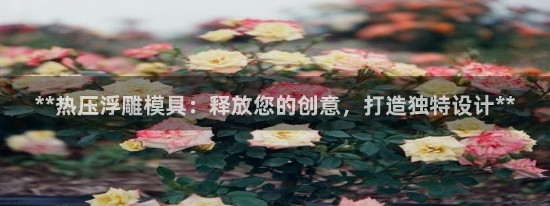 emc网页版：**热压浮雕模具：释放您的创意，打造独特设