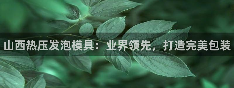 杭州易倍达：山西热压发泡模具：业界领先，打造完美包装