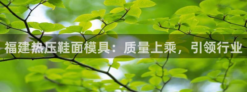 易倍单词官方网站下载：福建热压鞋面模具：质量上乘，引领行