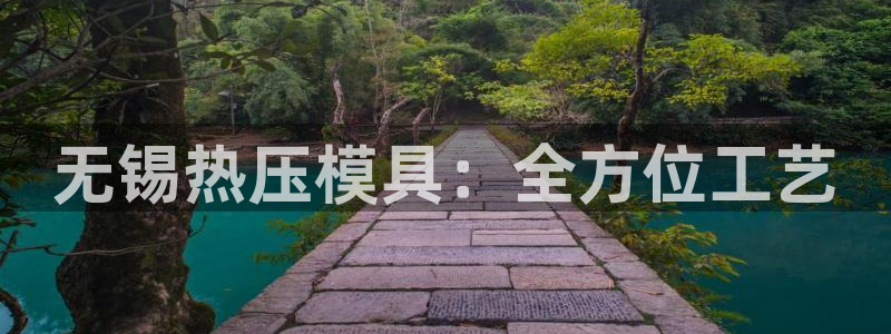 易倍申片说明书：无锡热压模具：全方位工艺