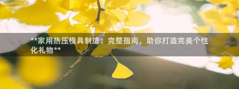 易倍纤代餐粉能减肥吗：**家用热压模具制造：完整指南，助