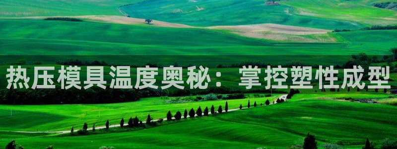 emc易倍全站官网：热压模具温度奥秘：掌控塑性成型