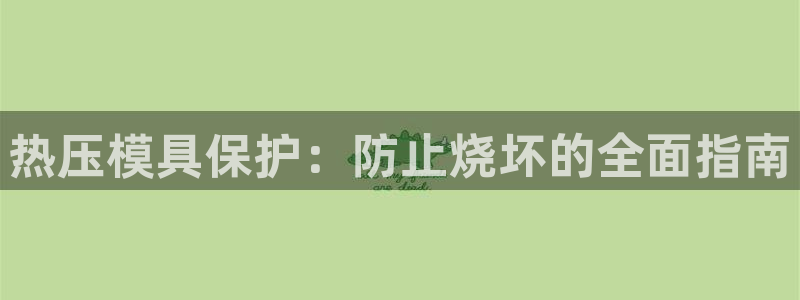 易倍纤奶昔减肥效果怎么样：热压模具保护：防止烧坏的全面指