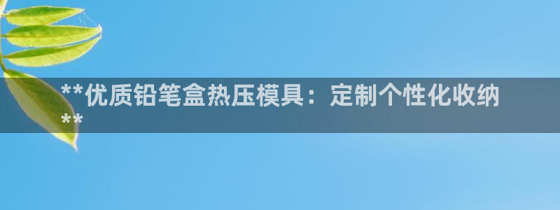 易倍纤瘦身三部曲的价格：**优质铅笔盒热压模具：定制个性