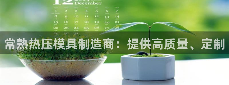 易倍电竞,有球必应：常熟热压模具制造商：提供高质量、定制