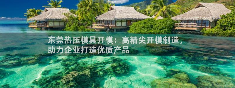 emc易倍网页版：东莞热压模具开模：高精尖开模制造，
助