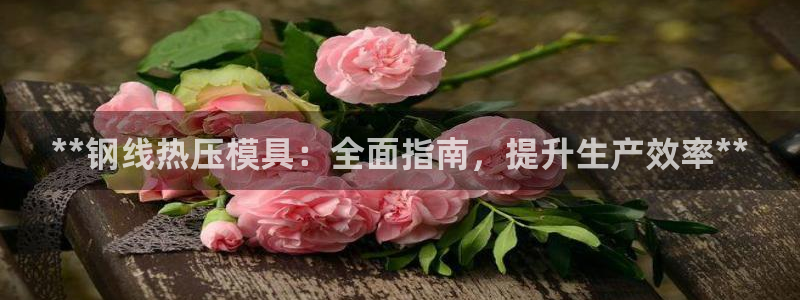 emc下载ios：**钢线热压模具：全面指南，提升生产效