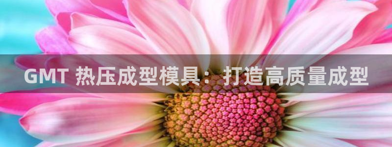 易倍单词app：GMT 热压成型模具：打造高质量成型