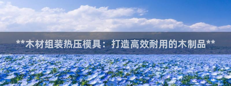 emc易倍官网首页进入：**木材组装热压模具：打造高效耐