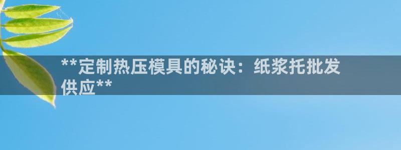 易倍企业管理软件：**定制热压模具的秘诀：纸浆托批发
供