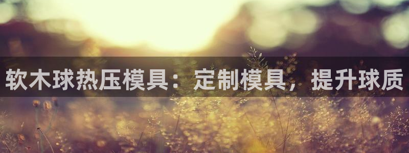 emc 倍频：软木球热压模具：定制模具，提升球质