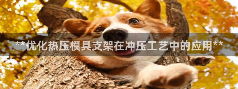 emc易倍官网首页进入：**优化热压模具支架在冲压工艺中