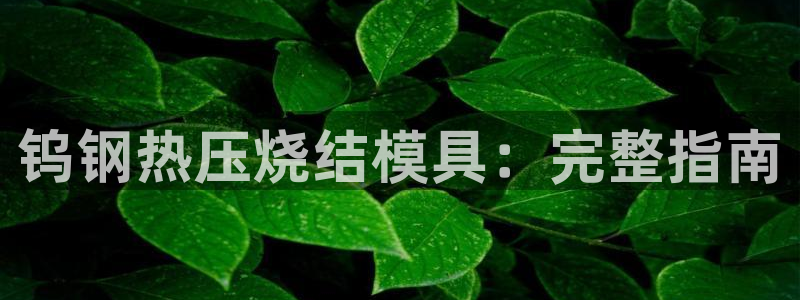 emc易倍最新链接：钨钢热压烧结模具：完整指南