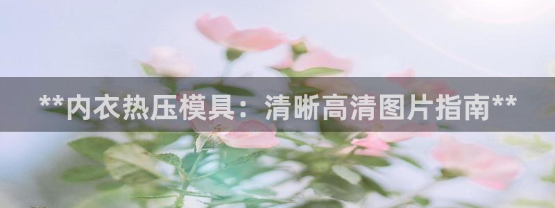 易倍网络技术有限公司是干嘛的：**内衣热压模具：清晰高清