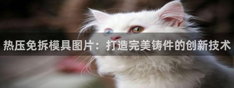 易倍纤奶昔减肥效果怎么样：热压免拆模具图片：打造完美铸件