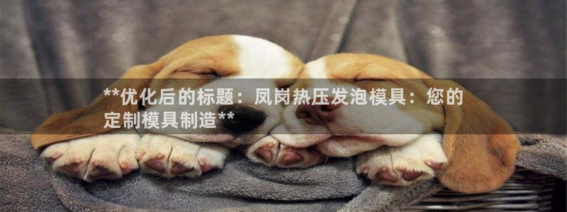 emc易倍网站是多少：**优化后的标题：凤岗热压发泡模具
