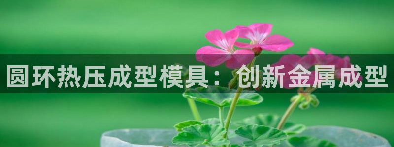 易倍申的副作用：圆环热压成型模具：创新金属成型