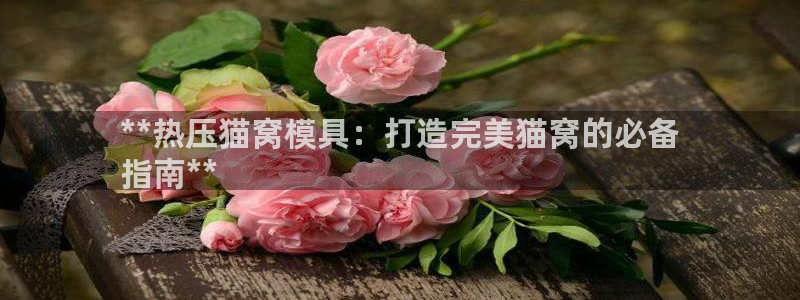 易倍单词官方网站的：**热压猫窝模具：打造完美猫窝的必备