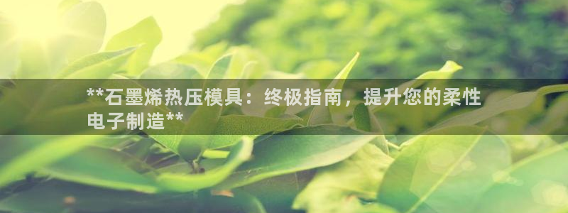 易倍纤价格：**石墨烯热压模具：终极指南，提升您的柔性
