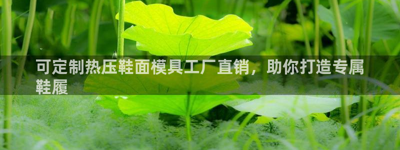 emc倍频干扰：可定制热压鞋面模具工厂直销，助你打造专属