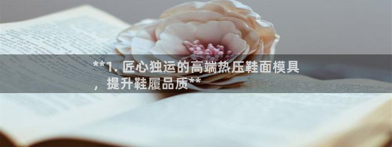 emc易倍黑吗：**1. 匠心独运的高端热压鞋面模具
，