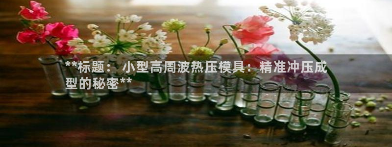 易倍下载手机版：**标题： 小型高周波热压模具：精准冲压