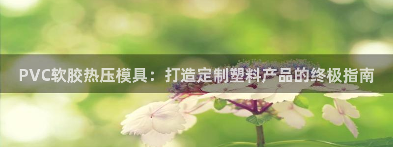 emc易倍老板：PVC软胶热压模具：打造定制塑料产品的终