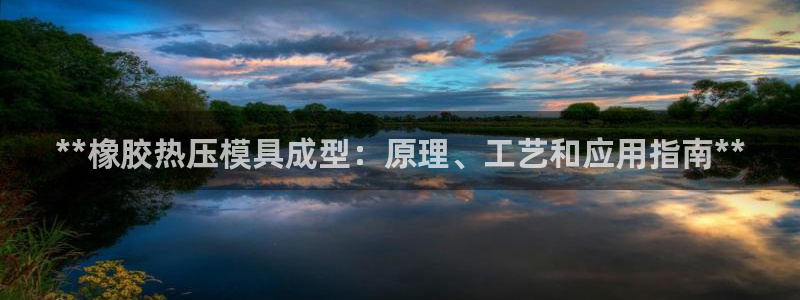 EMC易倍：**橡胶热压模具成型：原理、工艺和应用指南*