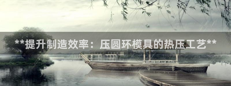 易倍科华生物科技有限公司：**提升制造效率：压圆环模具的
