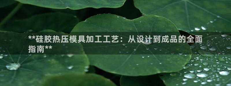 emc易倍app官网下载：**硅胶热压模具加工工艺：从设