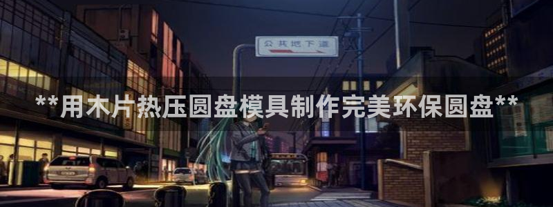 易倍达怎么样：**用木片热压圆盘模具制作完美环保圆盘**