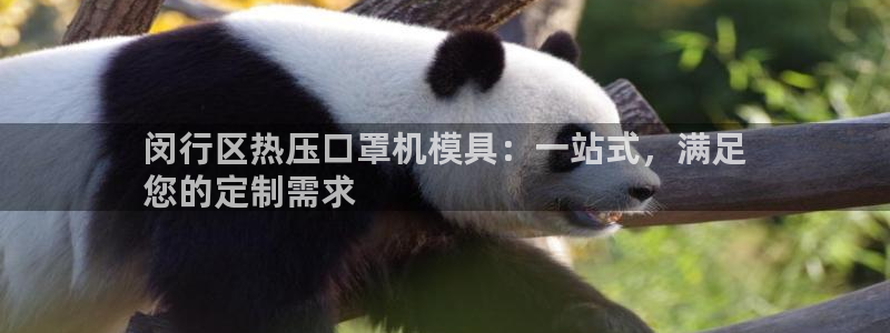 易倍电竞安装教程：闵行区热压口罩机模具：一站式，满足
您
