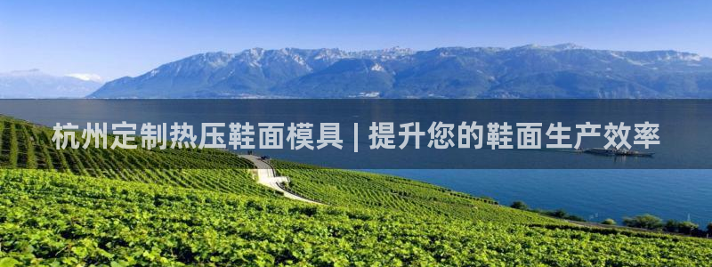 emc易倍网页版：杭州定制热压鞋面模具 | 提升您的鞋面