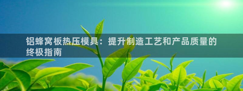 emc易倍黑吗：铝蜂窝板热压模具：提升制造工艺和产品质量