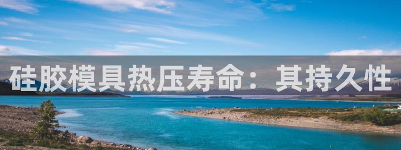 易倍申服用方法：硅胶模具热压寿命：其持久性