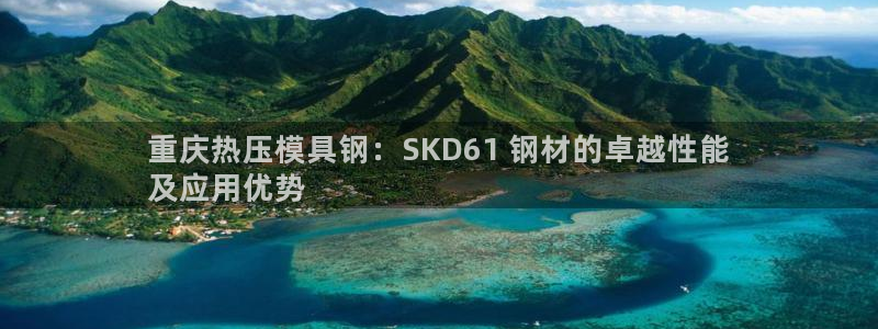 易倍申在中国成功上市：重庆热压模具钢：SKD61 钢材的