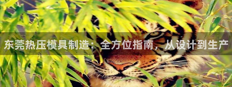 易倍申怎么样：东莞热压模具制造：全方位指南，从设计到生产