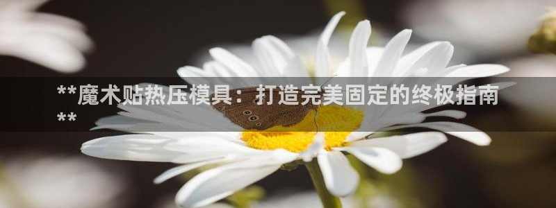 emc倍频干扰怎么解决：**魔术贴热压模具：打造完美固定