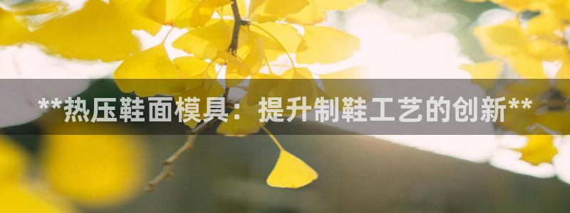 易倍纤减肥价格：**热压鞋面模具：提升制鞋工艺的创新**