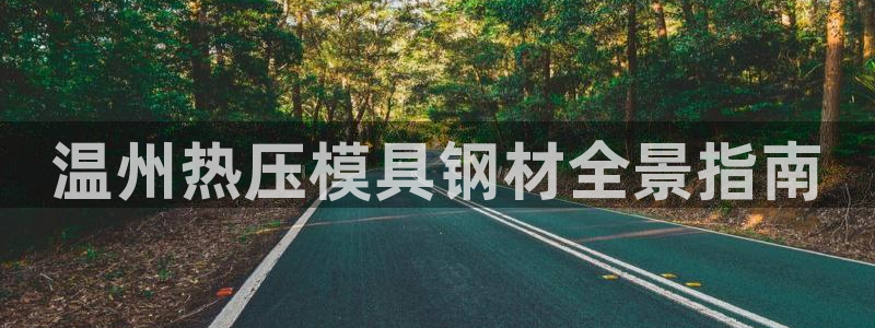 易倍英语官方网站登录：温州热压模具钢材全景指南