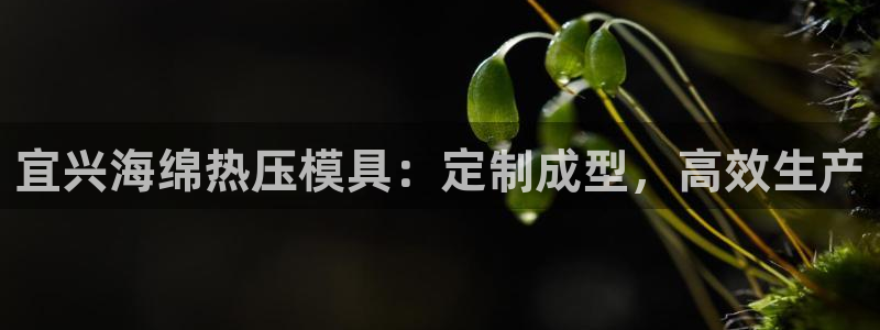 易倍申的价格：宜兴海绵热压模具：定制成型，高效生产
