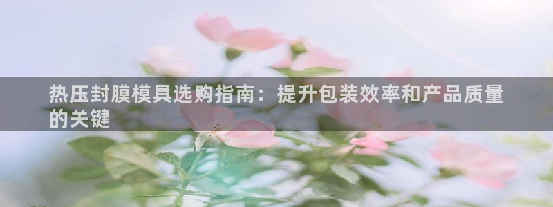 易倍达科技有限公司代运营：热压封膜模具选购指南：提升包装