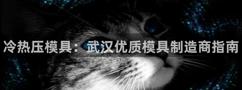 emc全站网页版：冷热压模具：武汉优质模具制造商指南