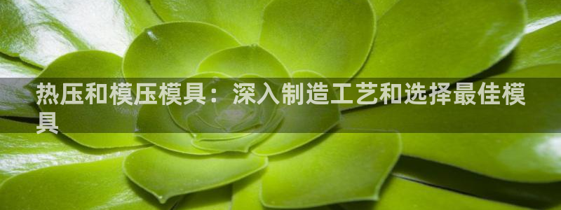易倍申多少钱一盒：热压和模压模具：深入制造工艺和选择最佳